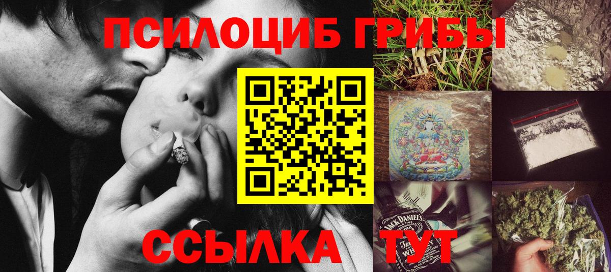 что такое   Вход с VPN  Дагестанские Огни  Псилоцибиновые грибы MAGIC MUSHROOMS 