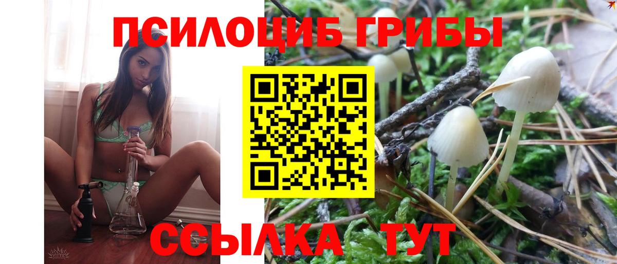Галлюциногенные грибы MAGIC MUSHROOMS Дагестанские Огни